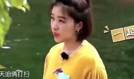 娱乐圈以前节目爆料是什么,那些不为人知的幕后故事