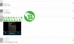 网络爆料视频,一窥事件背后真相