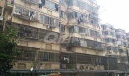 宁波爆料小区视频最新,揭秘小区内幕，引发网友热议