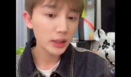 李朝网红爆料视频播放大全,揭秘娱乐圈幕后真相