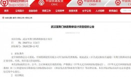 武汉王先生最新爆料消息,揭秘惊人内幕！