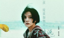 不能说的夏天在线观看,在线观看背后的故事与情感之旅