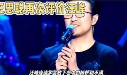 王思聪爆料汪峰视频在线观看,真相究竟如何？