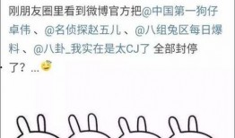 娱乐吃瓜 大事件小说,吃瓜大事件背后的秘密