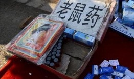 某主播吃老鼠药视频爆料,主播直播吃老鼠药事件引发社会关注