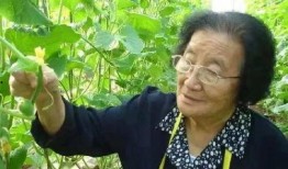 反派听我吃瓜心声后免费阅读,免费解锁阅读大结局