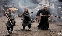 南少林电影在线观看,武林风华再现