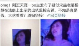 谁爆料的马蓉视频播放,揭秘婚姻破裂背后的真相