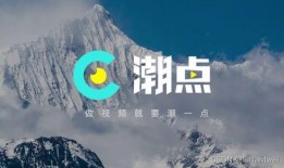 爆料短视频素材,素材背后的故事