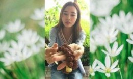 恋童如子在线观看,揭秘网络直播的隐秘世界