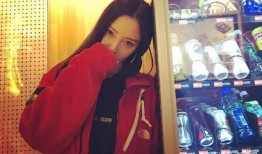 大苏爆料李小璐视频,李小璐视频事件始末