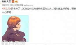 狗仔爆料小花订婚视频