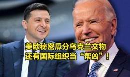 法媒爆料乌克兰事件视频,法媒揭秘冲突背后真相”