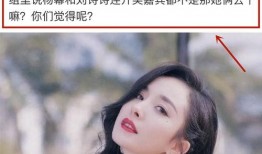 刘诗诗漫画爆料视频在线观看,独家揭秘幕后故事