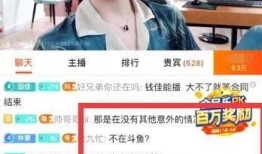 王心琳爆料黑料视频在线观看,揭秘娱乐圈不为人知的黑料内幕