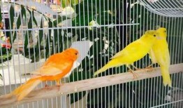 郑州公司吃瓜娱乐,吃瓜娱乐背后的职场生态探秘