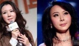 娱乐圈爆料萧蔷小说免费阅读,萧蔷传奇，揭秘豪门背后的爱情与权力