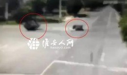 淮安事件爆料视频大全集,揭秘爆料视频背后的真相与争议