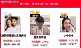 迪拜网红爆料视频大全集,视频大全集揭秘璀璨都市背后的故事