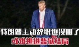 特朗普爆料鱿鱼视频大全,鱿鱼视频大全背后的惊人真相