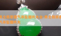 翡翠视频爆料大全图片,揭秘热门事件幕后真相