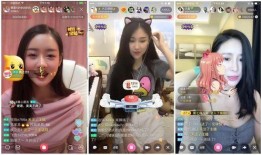 娱乐主播吃瓜内容介绍怎么写,揭秘娱乐圈幕后故事