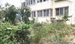 天山房子的真实爆料视频,真实爆料视频背后的惊人真相