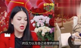 名星最新爆料大全视频播放,揭秘娱乐圈幕后真相