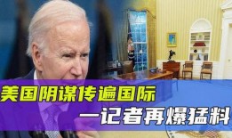 德国记者爆料视频