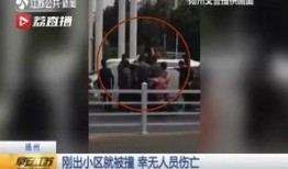 江苏女子爆料新闻视频,揭露惊人真相！