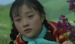 天浴在线观看949,949次在线观看背后的情感之旅