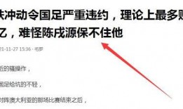 李铁网友爆料视频,事件背后惊人真相