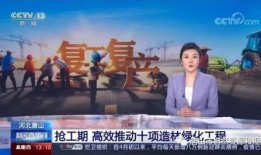 有关唐山爆料的新闻报道,揭开背后真相与反思