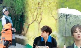 陈赫天涯爆料视频大全最新,揭秘娱乐圈不为人知的幕后故事