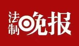 新闻日常爆料,热点事件背后的真相与反思