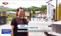 四川卫视新闻爆料,揭秘某事件背后真相