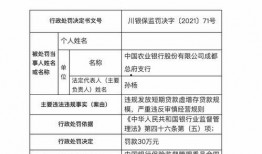 成都农业银行最新爆料,揭秘金融创新与风险管控新动态