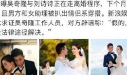 刘诗诗漫画爆料视频在线观看,独家揭秘幕后故事