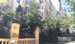 天山房子的真实爆料视频,真实爆料视频背后的惊人真相