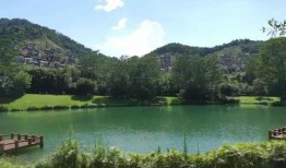 清远碧桂园爆料最新消息,揭秘项目进展与未来规划