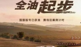 巅峰极速猜车爆料视频大全,视频大全带你领略速度与激情