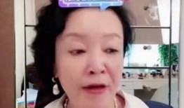 张兰爆料陈建州视频,一场娱乐圈风波背后的真相