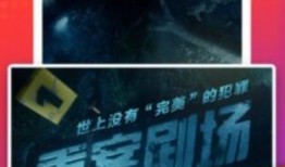 奶砖爆料视频大全下载,揭秘热门话题背后的真相与细节