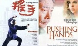 推手电影在线观看,一场关乎人生哲理的巅峰对决