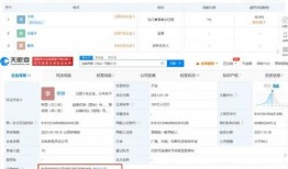 爆料视频小贝在线观看免费,揭秘神秘爆料视频幕后真相