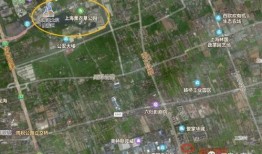 川叔直播爆料最新消息,最新热点事件幕后真相大曝光！