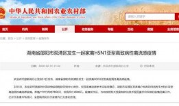 邵阳县新闻爆料电话查询,民众关注焦点聚焦！