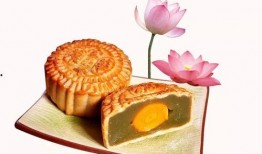 中秋月饼爆料视频大全下载,揭秘各大品牌新品与热门口味