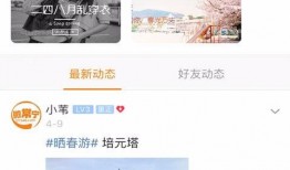 常宁新闻爆料网站,聚焦民生热点，揭示社会真相