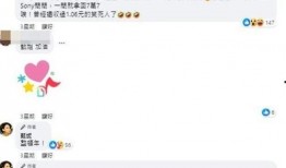 甄妮爆料聊天记录视频在线观看,揭秘娱乐圈幕后真相